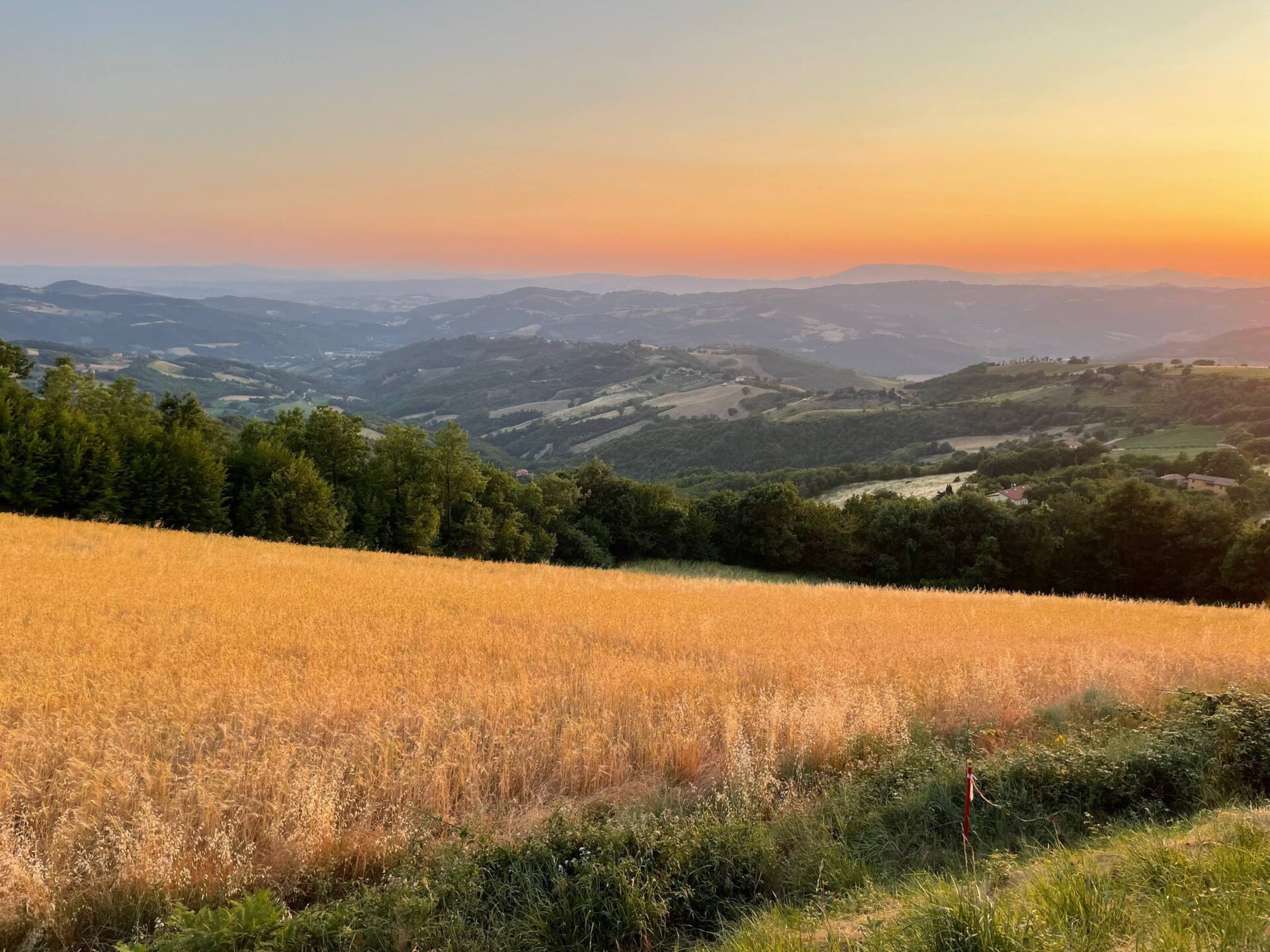 www.ourlittlefarm.it